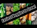 Top 6 easy to grow vegetables for beginnersseed to harvest