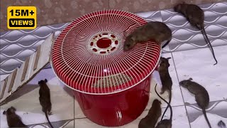 mouse trap \ Make a mouse trap with a plastic box \ water mouse trap \ electric mousetrap