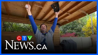 Blue Jays fan who caught Springer’s home run ball savours moment screenshot 4