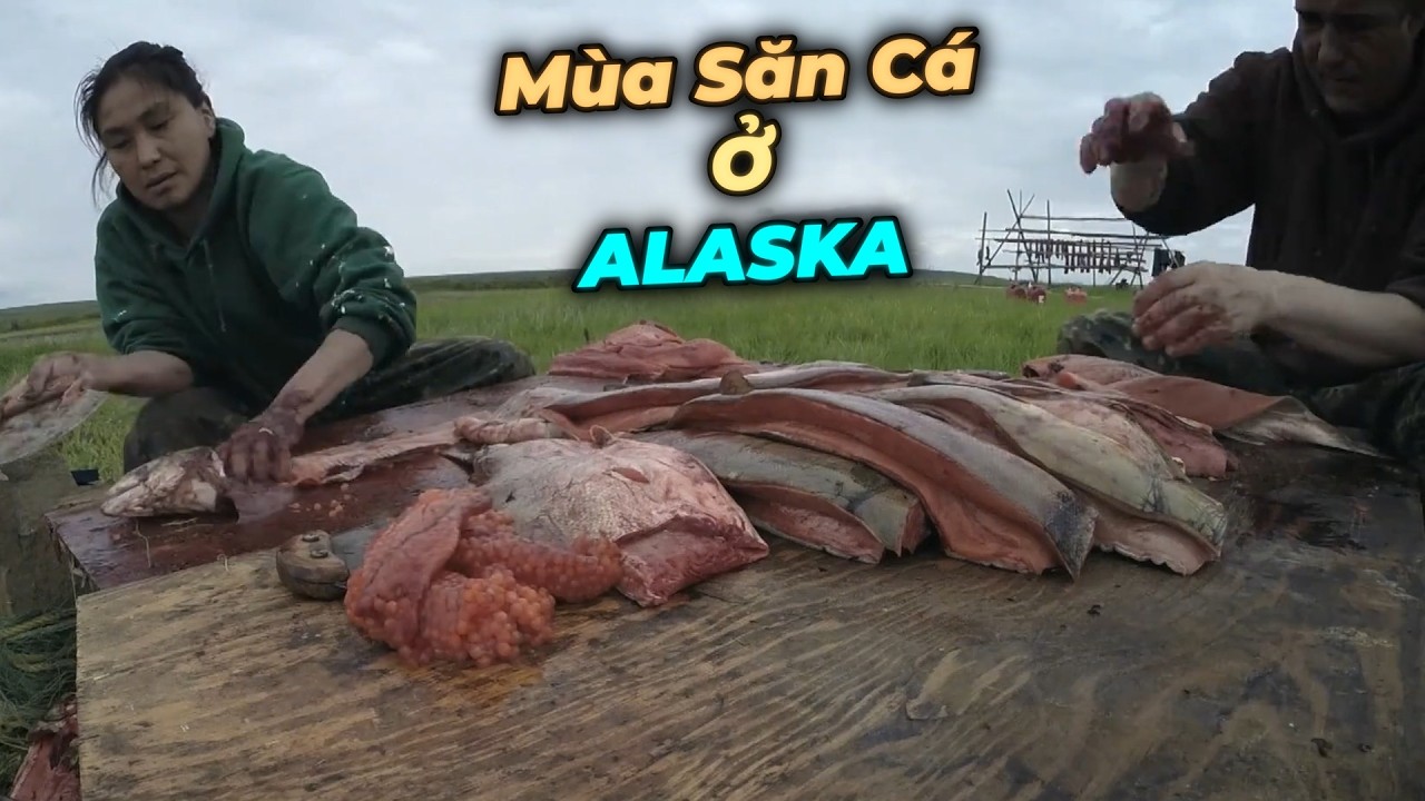 Sinh Tồn ở ALASKA | Vào Mùa Bắt Cá Hồi & Ngỗng Trời  Cực Kì Cuốn Hút