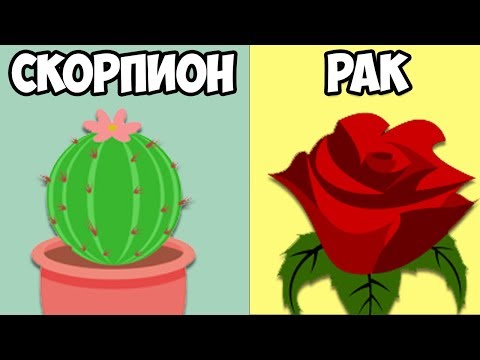 Как определить, кто вы по гороскопу