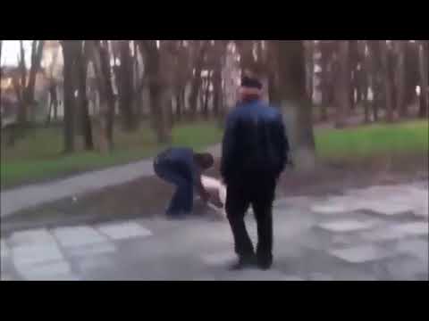 Собачники