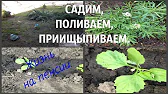 АНТОНІНА МОТОРІНА