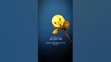 تلاوه خاشعه للشيخ ياسر الدوسري سوره لقمان #تلاوه