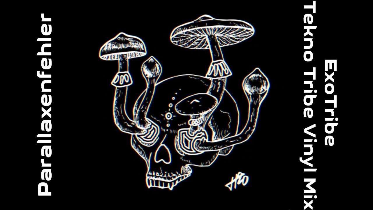Parallaxenfehler - ExoTribe [Tekno Tribe Vinyl Mix] 2025