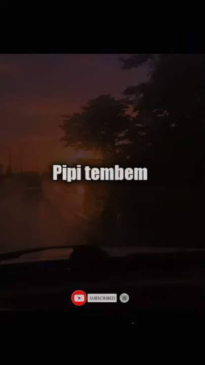 STORY WA PERCAKAPAN BAPER 'PIPI TEMBEM'