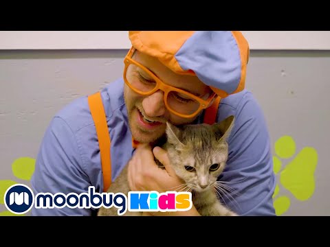 Blippi visita un