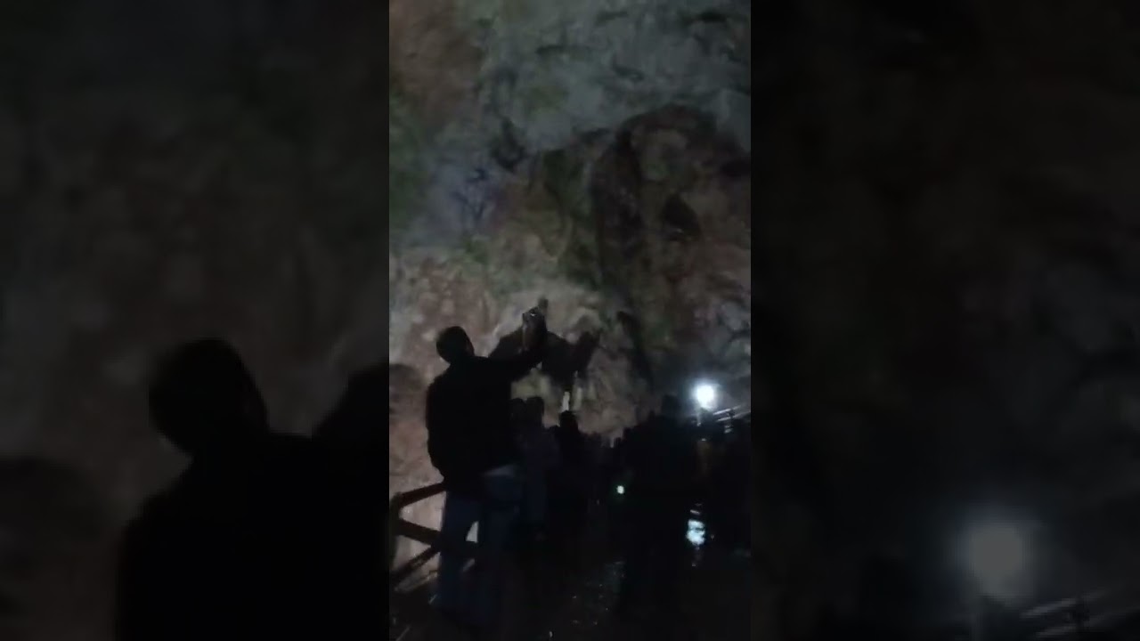 غار قوری قلعه