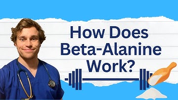 How Beta-Alanine Works | What is Beta Alanine? | Is Beta Alanine Effective?