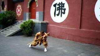 Shaolin Yin shou gun  少林阴手棍