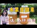 【种植39】水果皮环保酵素的制作方法，6种用途用法 | 酵素肥料、酵素防虫、酵素清洁剂怎么用，简单、天然、好闻 How to make fruit peel enzymes