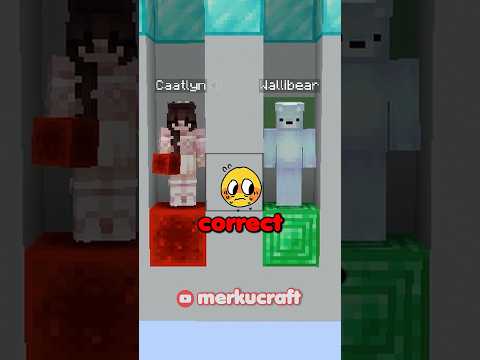 HARDEST Block Match Ever🚪