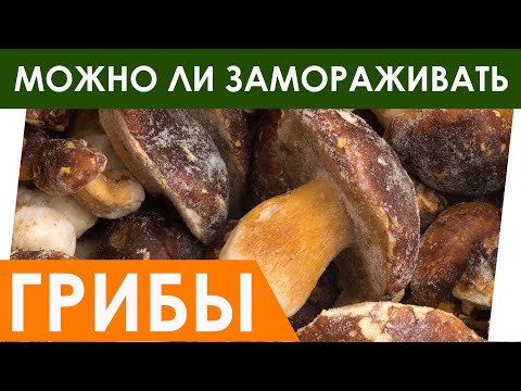 Видео: Хорошо ли замораживаются обжаренные грибы?