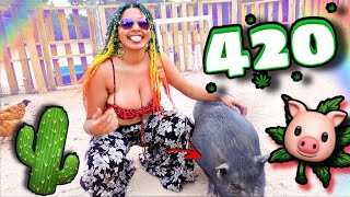 You would NEVER BELIEVE where I PARTIED on 420?! VLOG 🌴🐷