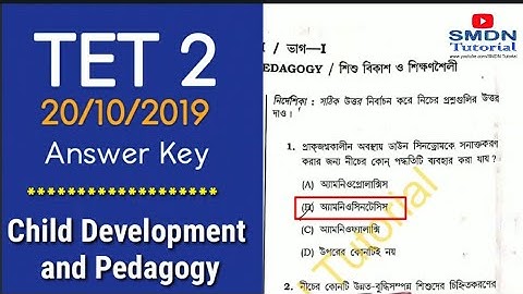TET-2 Answer Key 2019, Child Development and Pedagogy l SMDN Tutorial
