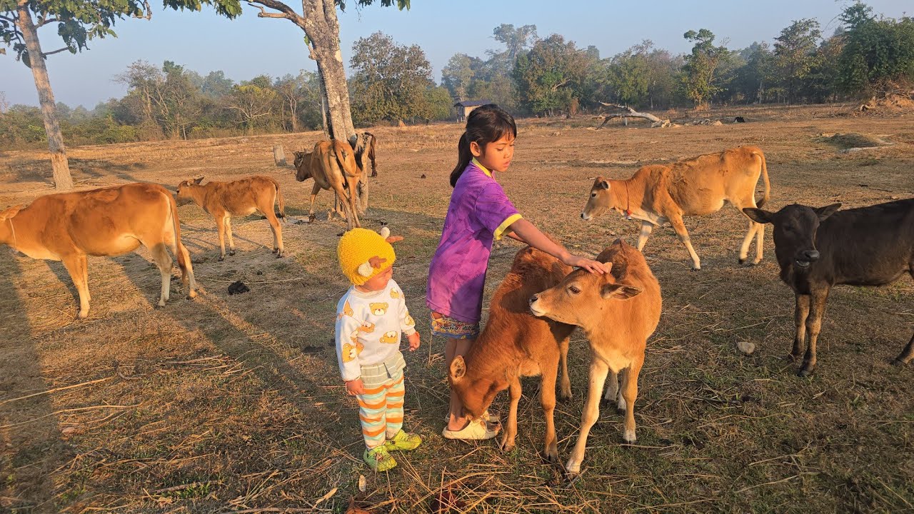 ธันวาน้อยตื่นแต่เช้ามานั่งผิงไฟเลาะชมสวนแตงโมกำลังงาน