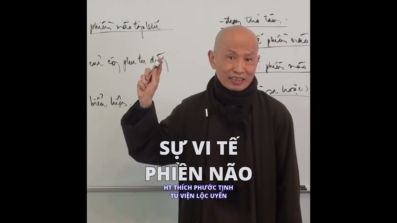 SỰ VI TẾ PHIỀN NÃO | HT Thích Phước Tịnh giảng