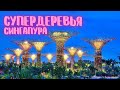 БУДУЩЕЕ УЖЕ НАСТУПИЛО! | СУПЕР-ДЕРЕВЬЯ СИНГАПУРА | ЭТО КОМПЬЮТЕРЫ | 2022 | МАРИНА БЭЙ