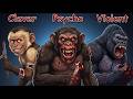 From Lemurs to Gorillas: Every Primate Explained in 30 Minutes