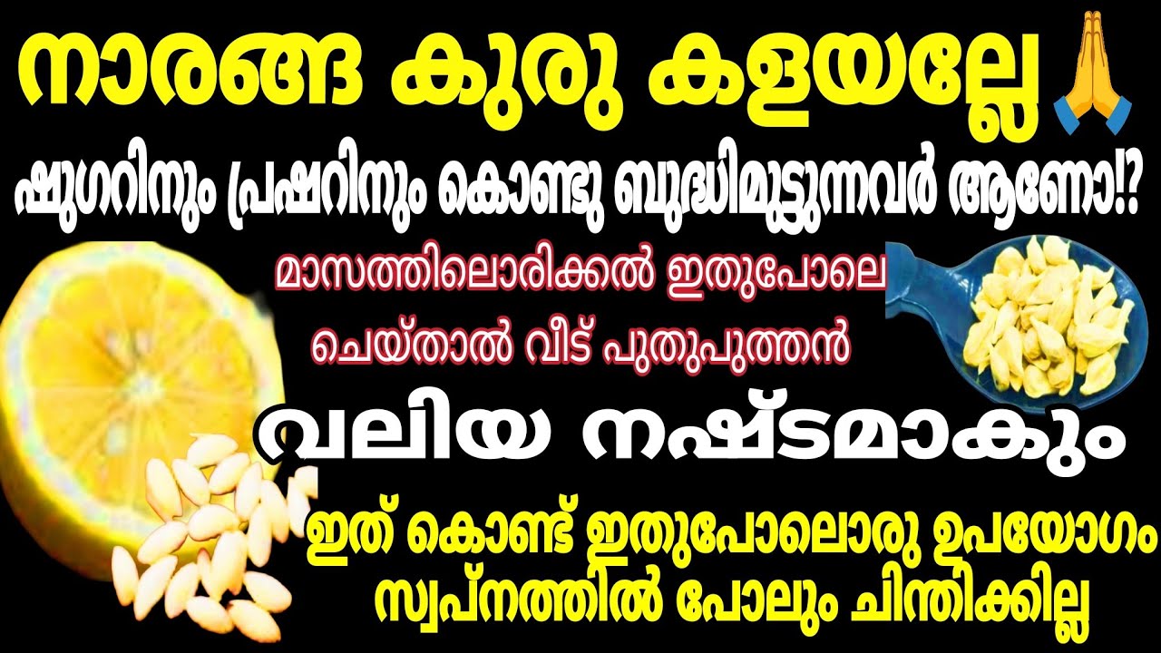 നാരങ്ങ കുരു വെറുതെ ഉണക്കി കളയല്ലേ | 100 പ്രശ്നങ്ങൾക്ക് പരിഹാരം | Amazing Use's Of Lemon Seeds #tips 
