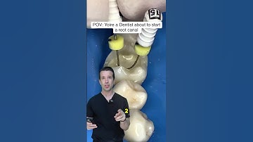 POV: Dentist doing a root canal