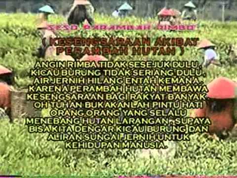 Seso Parambah Rimbo