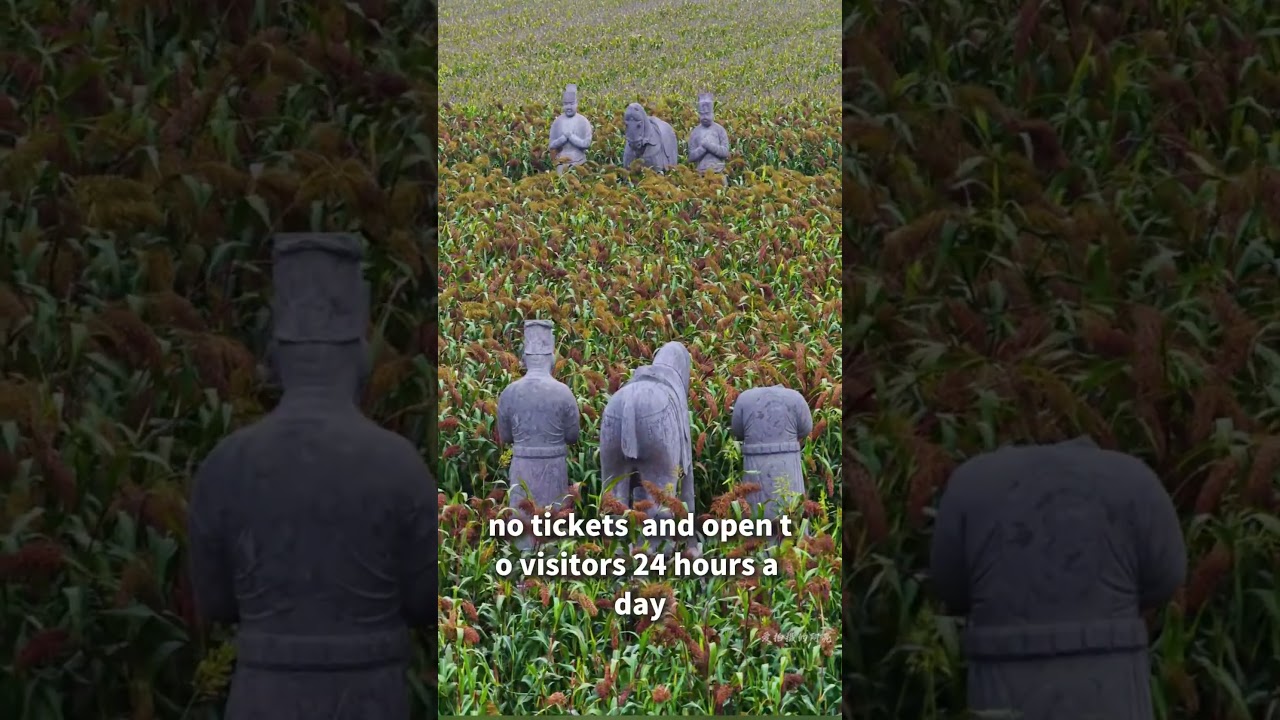 Can you believe that a national first-class cultural relic in Henan, China