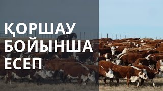 Қоршау салуға жиналған қаражаттың есебі