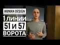 Дизайн Человека 51 и 57 ворота. Обзор транзитов. Даниил Трофимов. Human Design