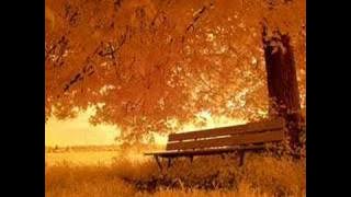 The Sins Of Thy Beloved - My Love (Slideshow)