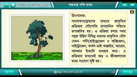 ১৪.৫ বাস্ততন্ত্রে শক্তি প্রবাহ