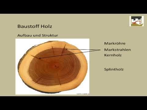 Video: Stuhlthrone: Aus Holz Und Anderen Materialien. Vorteile Und Nachteile