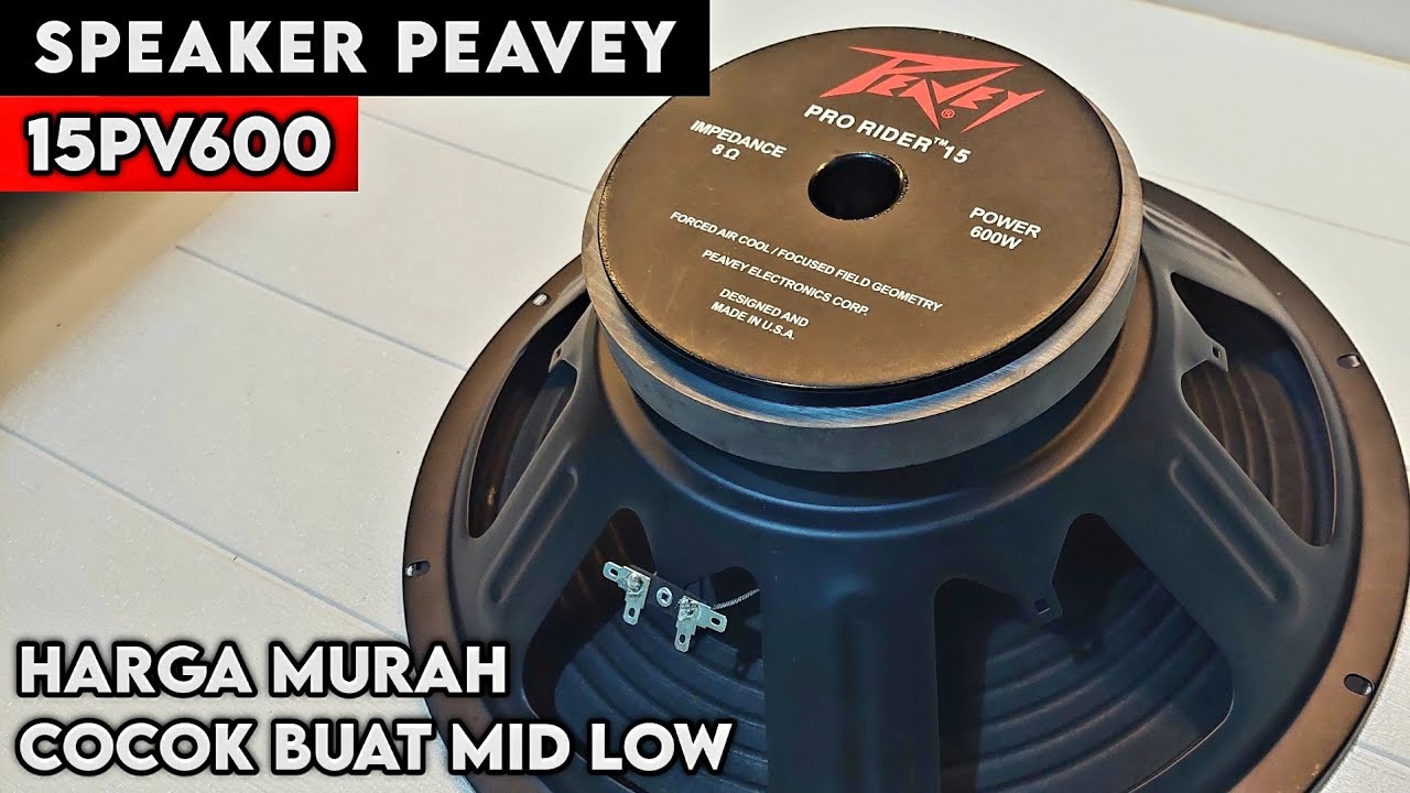 ウーファー PEAVEY15インチ！外向きオーディオ！