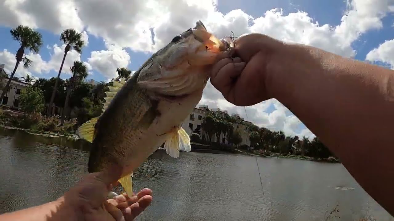 Sunday Bass fishing