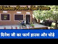 दिनेश जी का फार्म हाउस  !! Tour Krishna Ranch Stud Farm