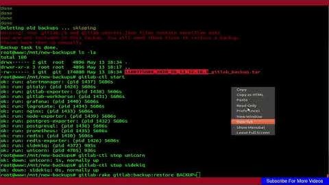 How To Create &  Restore A Backup In Gitlab On Ubuntu 18