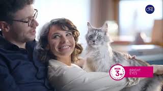 ITV1 Continuity & Adverts - 4th March 2026