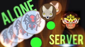 Last Man Standing Playing On An Empty Server-Agar.io