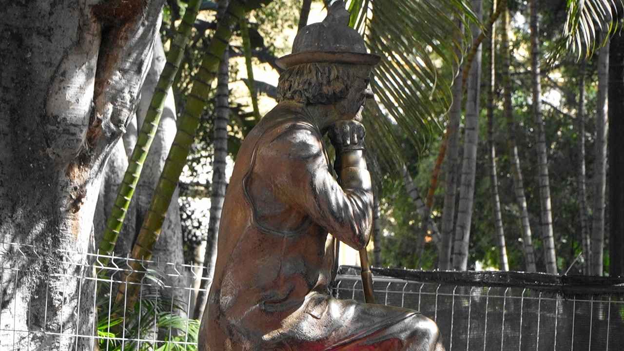 AFILARMONICA NIFU - NIFA - 2026.02.15 - PLAZA DEL PRINCIPE - SANTA CRUZ DE TENERIFE - ISLAS CANARIAS