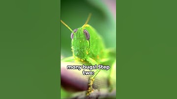 Cybersecurity 101: Hacking with Humor