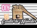 DIY l Casa para roedores con palitos de paleta