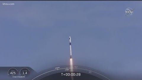 SpaceX makes history with first manned flight