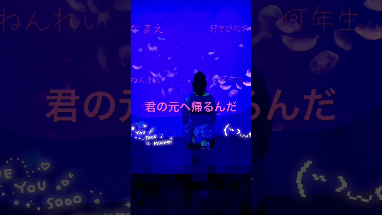 自己紹介！ - YouTube
