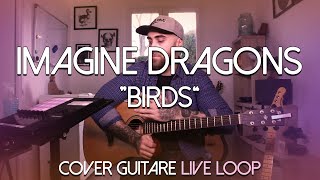 Imagine Dragons - Birds (COVER GUITARE - LIVE LOOP) Resimi