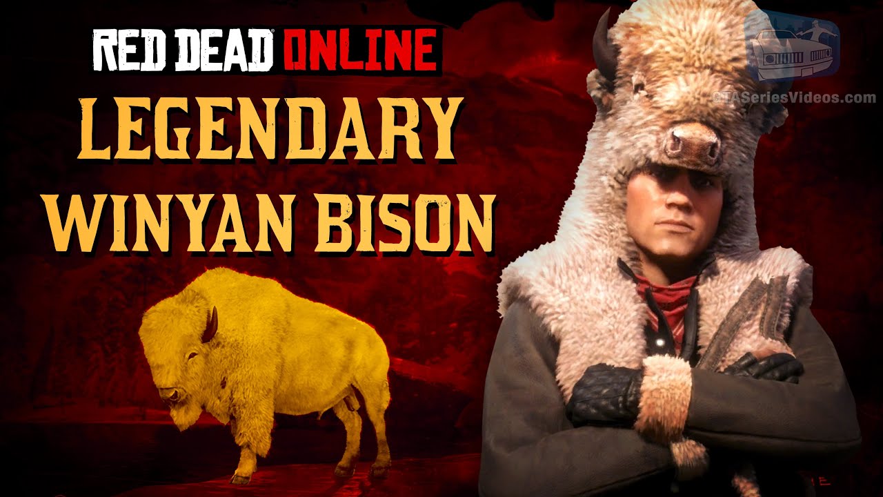 Легендарный бизон. Rdr 2 winyan Bison. Легендарный Бизон rdr 2. Legendary Tatanka Bison. Бизон призрак.