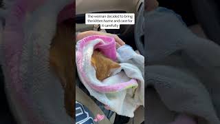 From Fear to Trust The Power of Love and Companionship#rescue #cat #heartwarming #Love #family