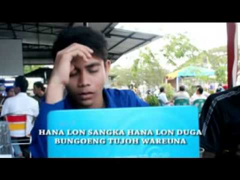 bungon 7 warna faisal ulka
