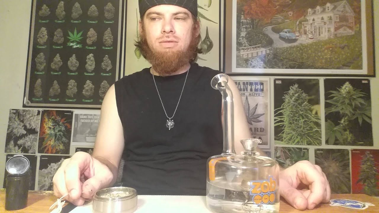 The High-Way: GSC x Hash Plant/ Skunkmasters