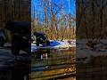 Frozen Ozarks hit different #offroadlife #sxs #offroad #arkansas