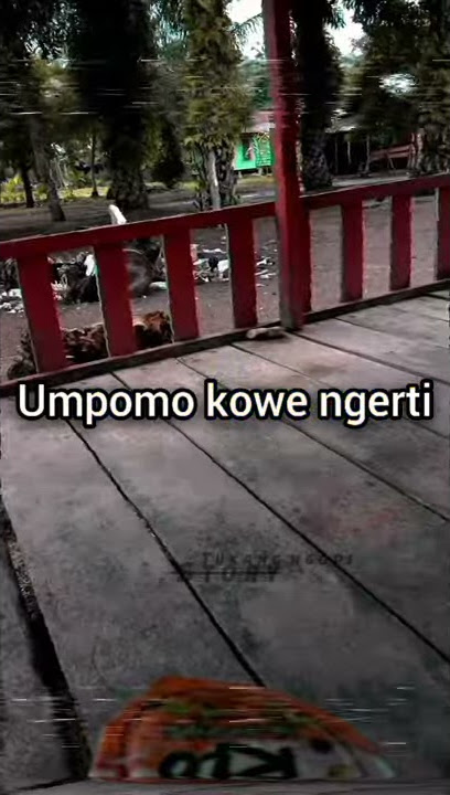 Story Wa Terbaru || Dinggo Bukti cover anak kecil (umpomo kowe ngerti)...🔸®🔸#storyWhatsApp